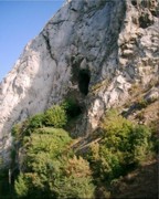 CORONINI - Blackfly cavern